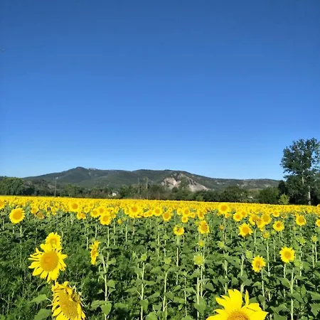La Rouviere Les Pins