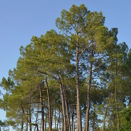 La Rouviere Les Pins