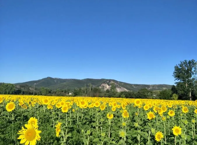 La Rouviere Les Pins